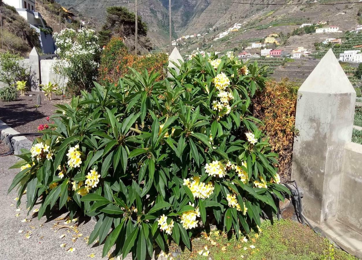 Gomera Garden. Vista Mar Altozano Hermigua Exteriér fotografie